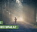 Ile kalorii spala bieganie